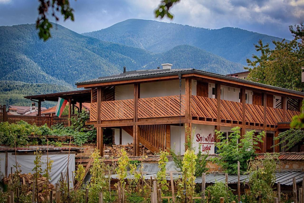 Къщи За Гости Сноуфлейк Snowflake Chalet And Snowflake Lodge Bansko Luaran gambar